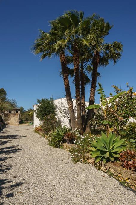 Can Beia Rural House Ibiza Nuestra Senora de Jesus Ngoại thất bức ảnh